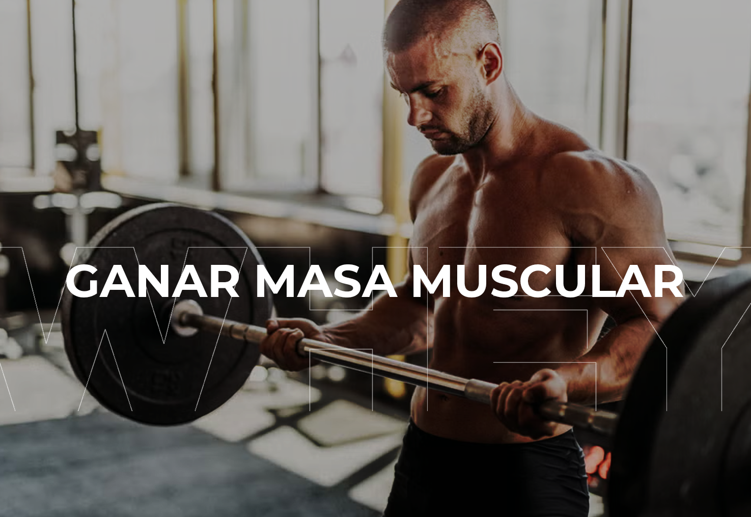Ganadores de masa